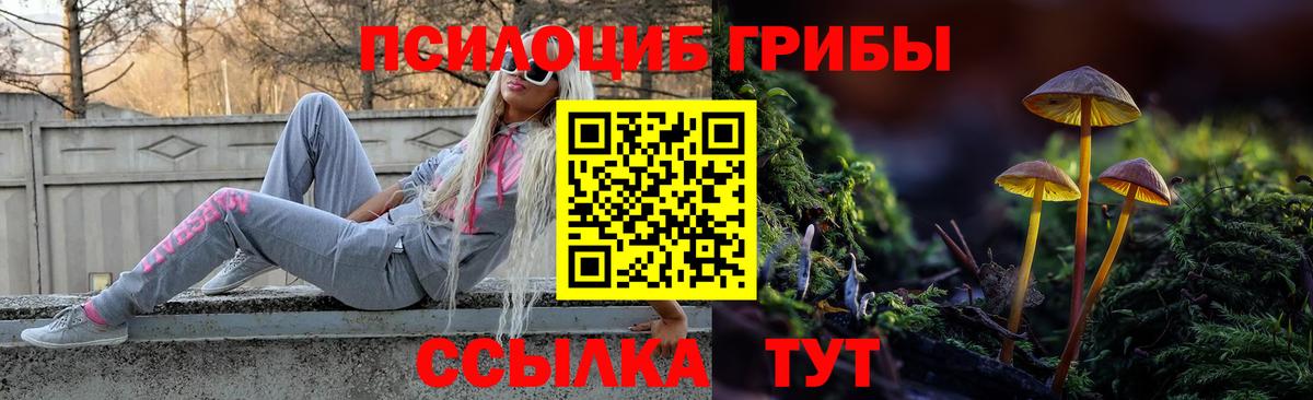 Галлюциногенные грибы MAGIC MUSHROOMS  Вход с VPN  Учалы 